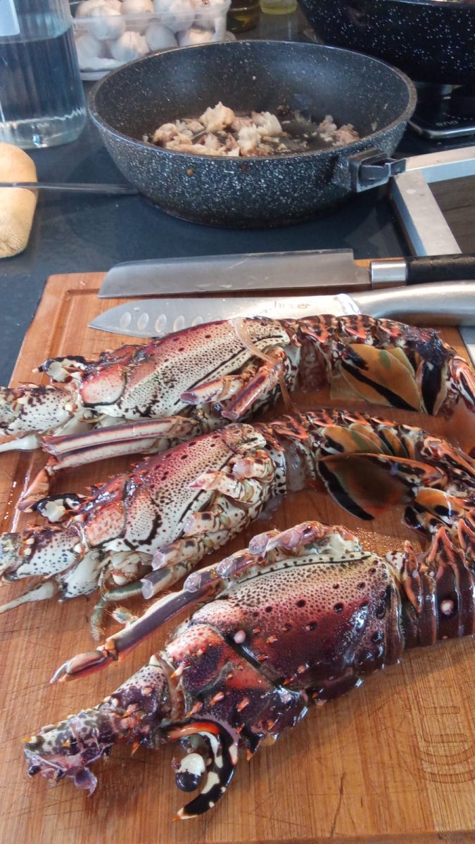Catamarano - Lagoon - 8 persone