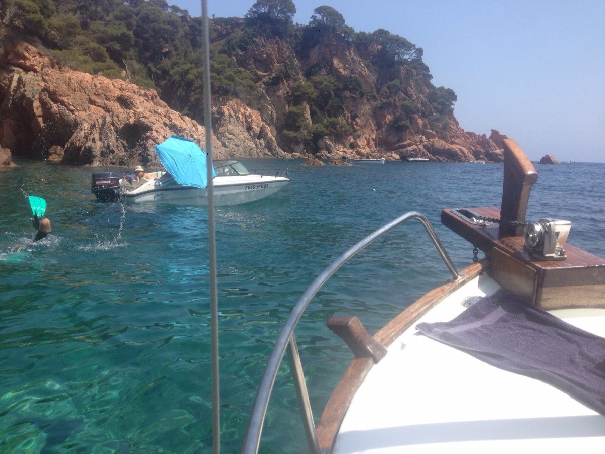 64253fd1a89d57.97139267