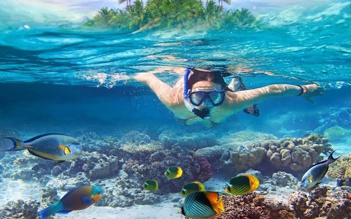 Deslumbrante viaje de navegación por el Caribe en un catamaran