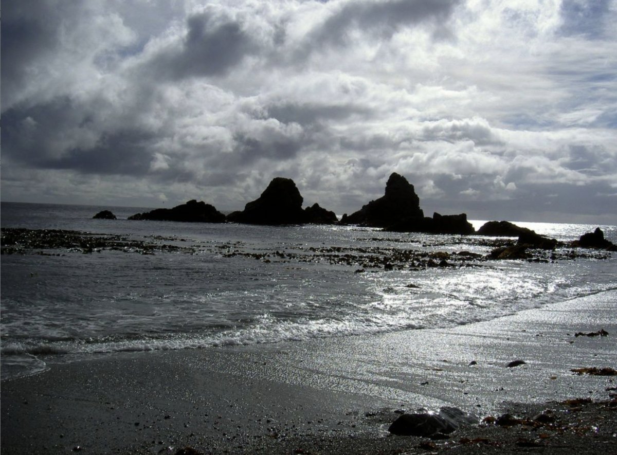 Marine adventure in the mythical Cape Horn