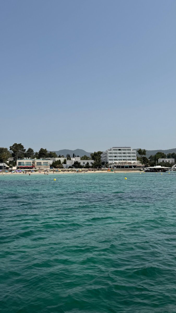 Delfinbeobachtung während einer Sardinien-Kreuzfahrt