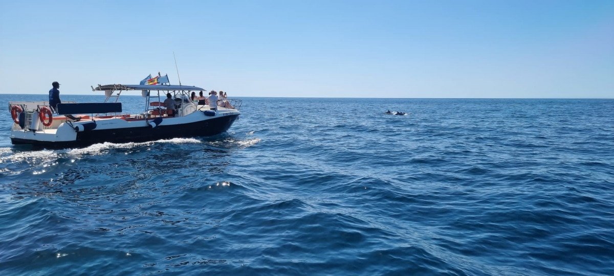 f64ea9fcad5d1a40ef4942ec5e835e5c.cms