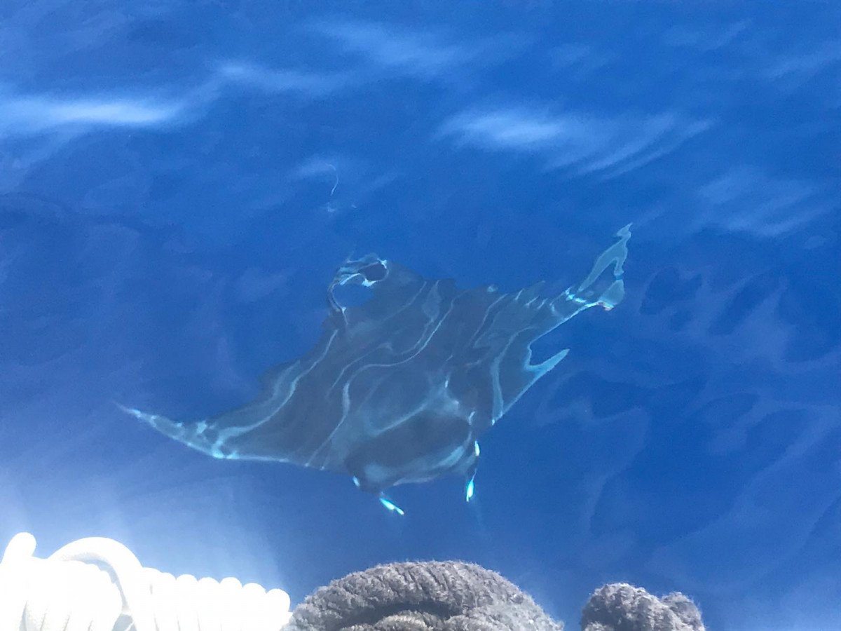 Viaje en Velero a través del Delta del Ebro