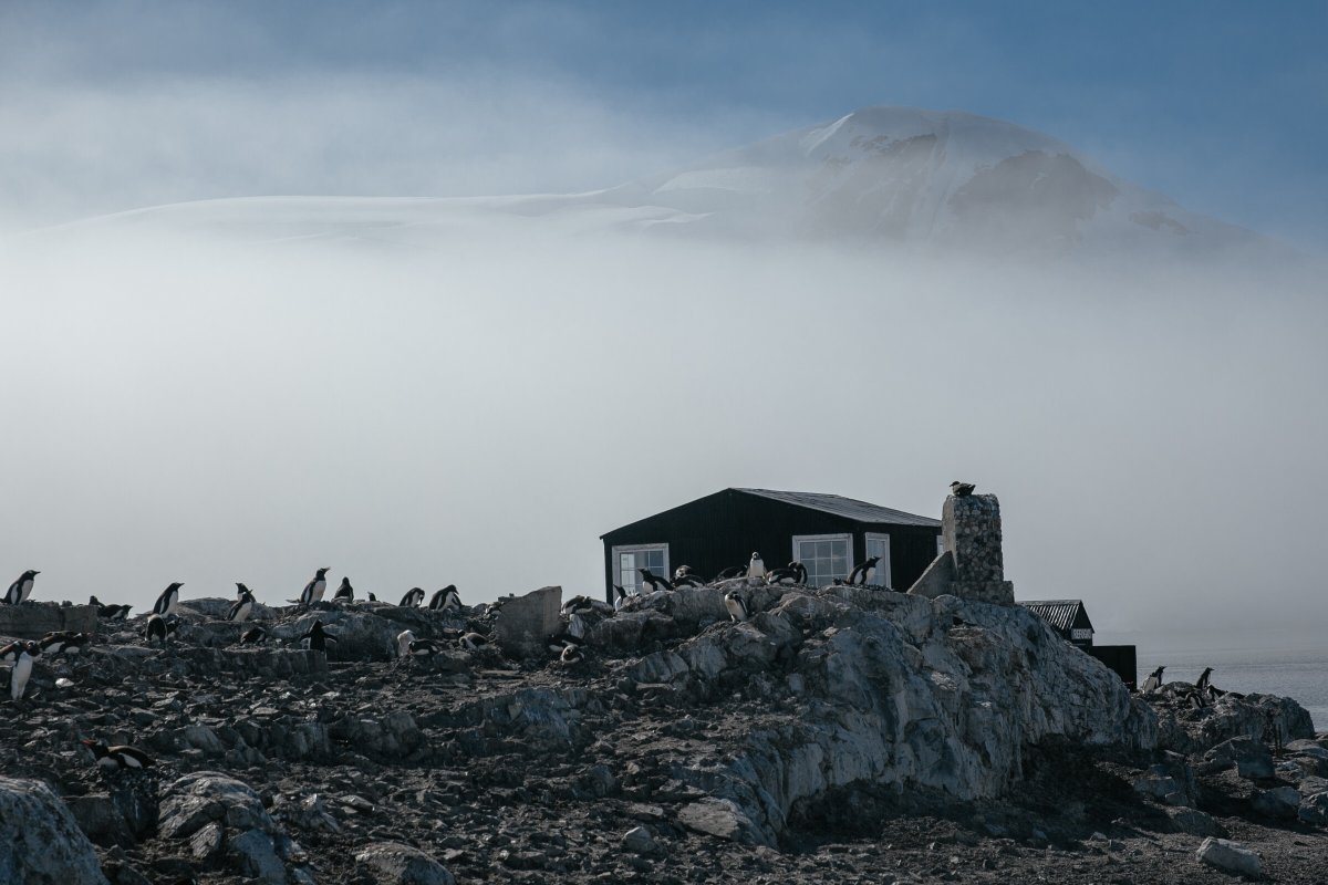 Exploration boats, exploring the Ross Ice Shelf