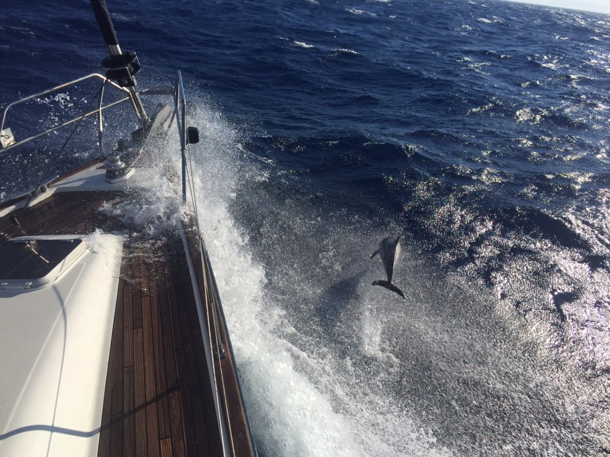 6 días en el mar navegando desde Atenas