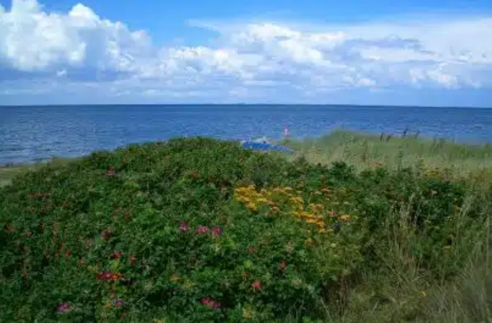 Segeln lernen: Die Geheimnisse der Nordsee
