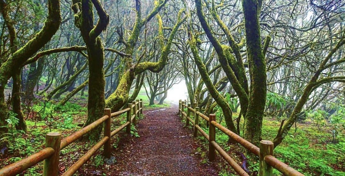 Lerne Segeln auf einem klassischen Schiff