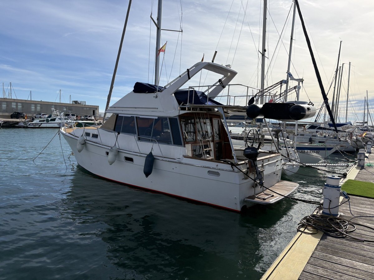 Boat trip around the port of Valencia