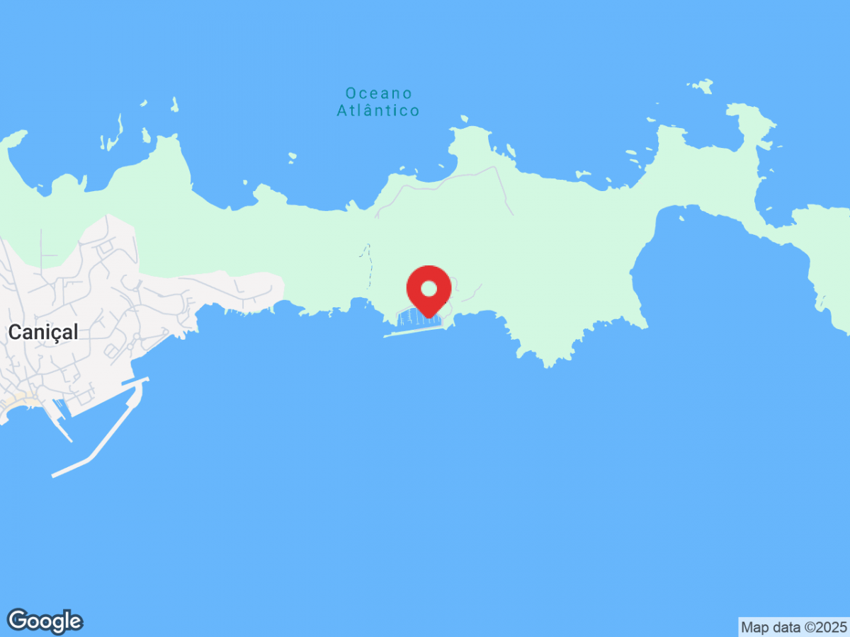 b7c8e68ea73662a86631f3bf5f349f87