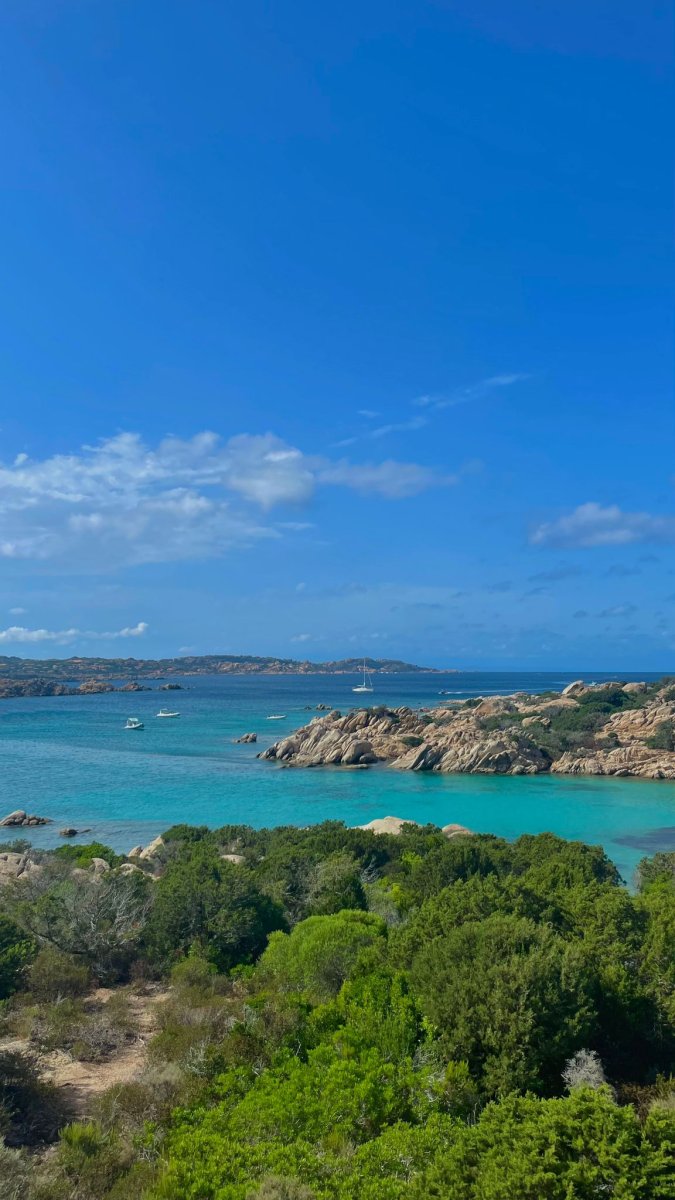 Ausflug mit dem Boot und Navigationsunterricht in Maddalena