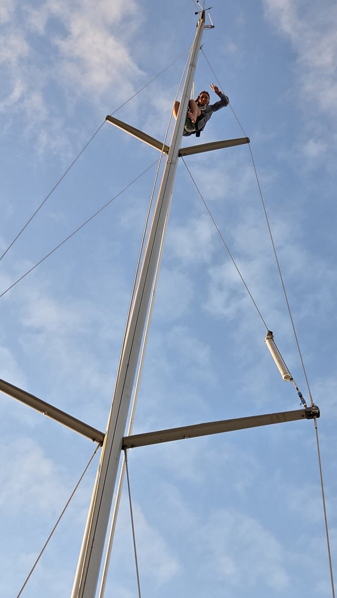 Rennsegel in der Bucht von Newport