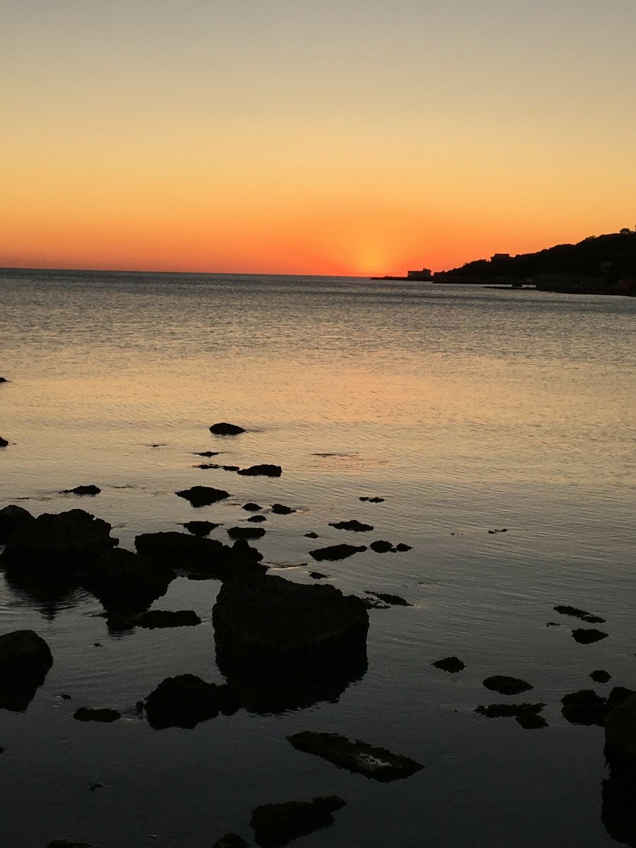 An exceptional sail through the Ligurian Sea