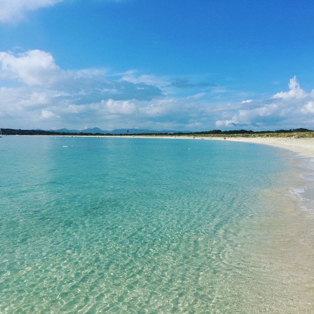 2018-09-19 16.48.46.jpg