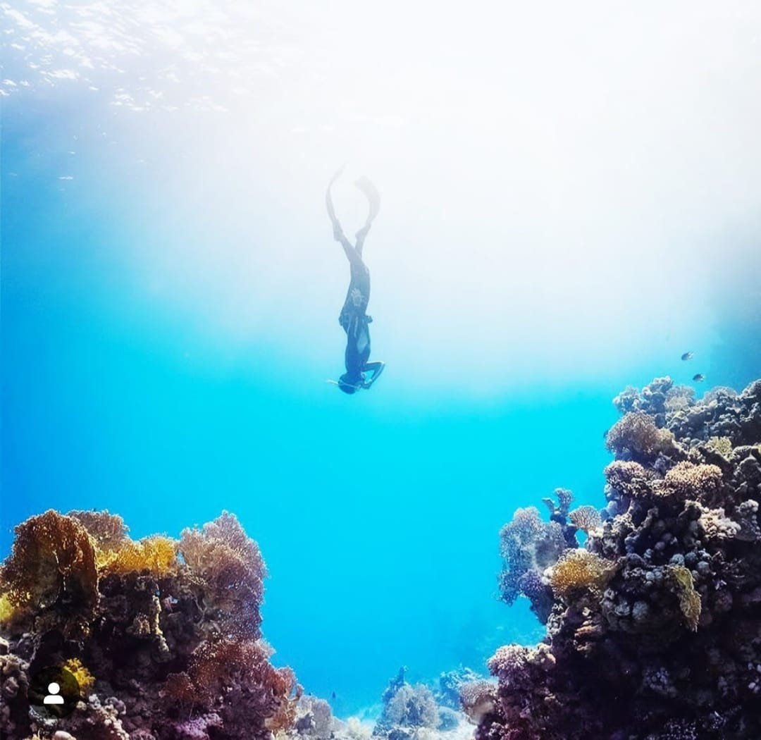 Cursos de navegación en el mar Adriático