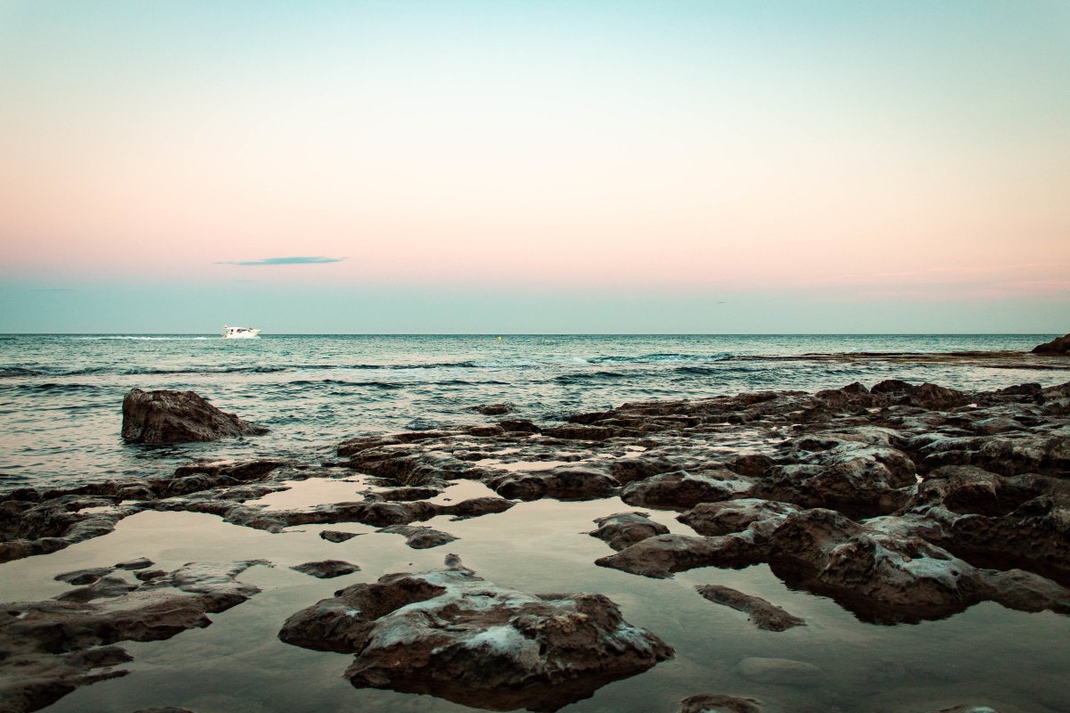 Take in the panoramic views of the coastline while sailing