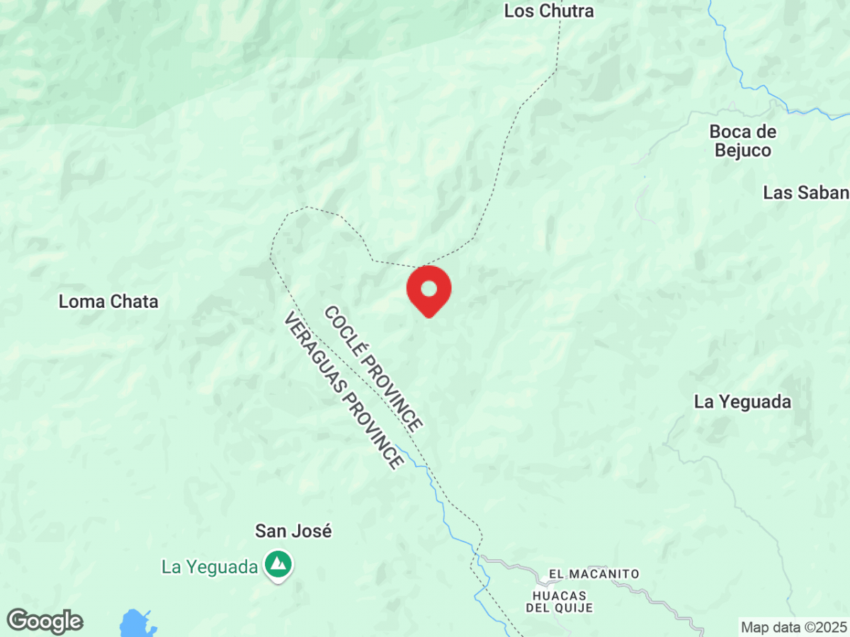 d45ebeb596783032b54883374390bbde