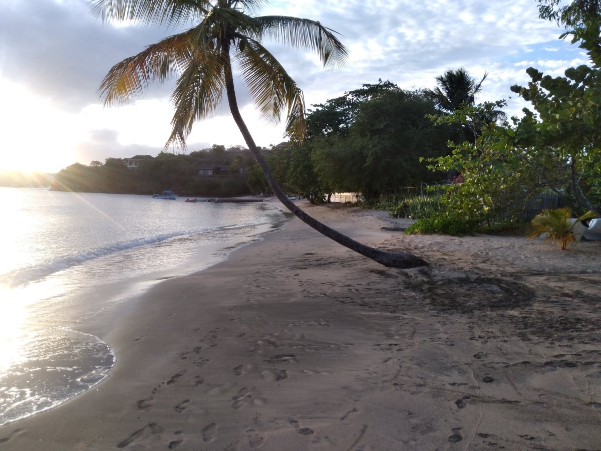Segeltörn zu den Grenadinen ab Martinique