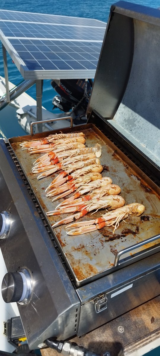 Catamaran - Lagoon - 410s2