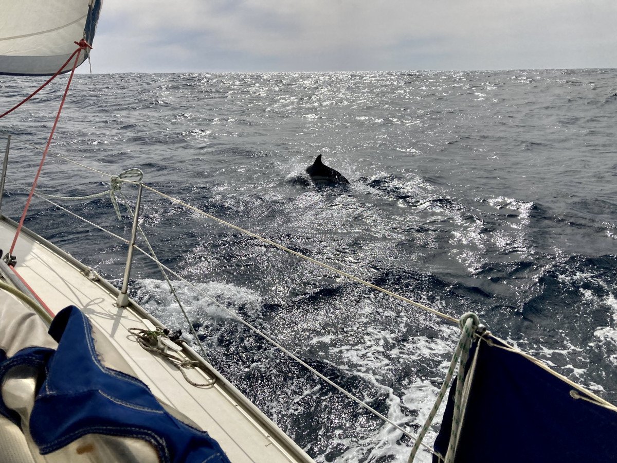 Tour in barca a vela lungo la costa di Barcelona, Premià de Mar