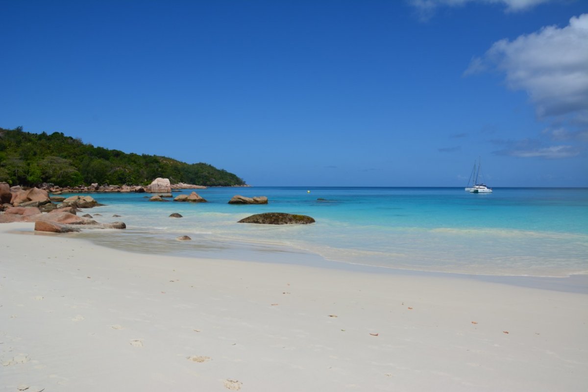 Treffen Sie die Meereslebewesen - Schwimmen Sie mit den Delfinen
