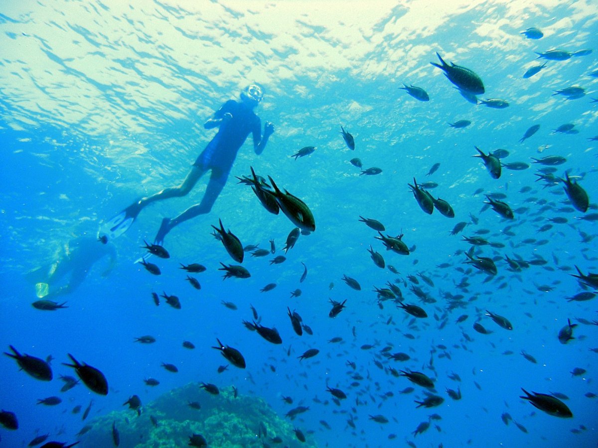 Aprende a navegar en las islas Flegreo y Pontine