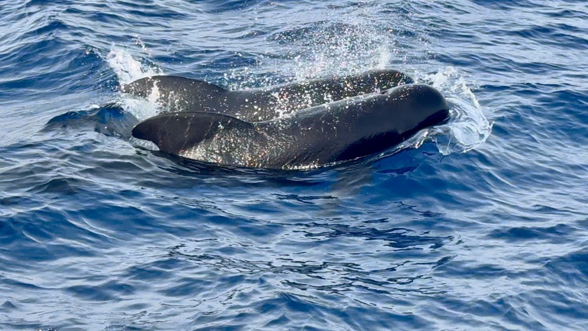 Von Mallorca nach Cartagena