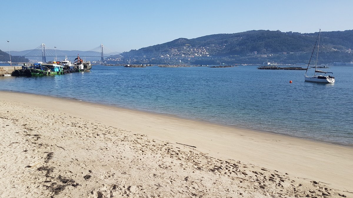 Speedboat tour of the Vigo estuary with seafood tasting