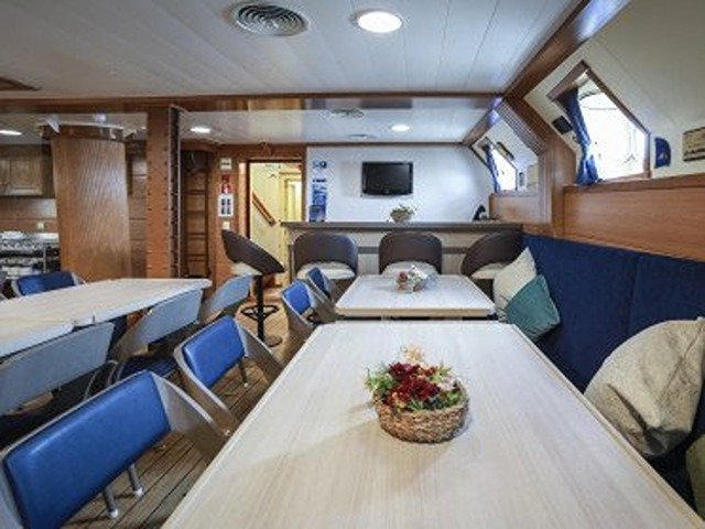 Genießen Sie die natürliche Schönheit der Kanarischen Inseln vom Meer aus