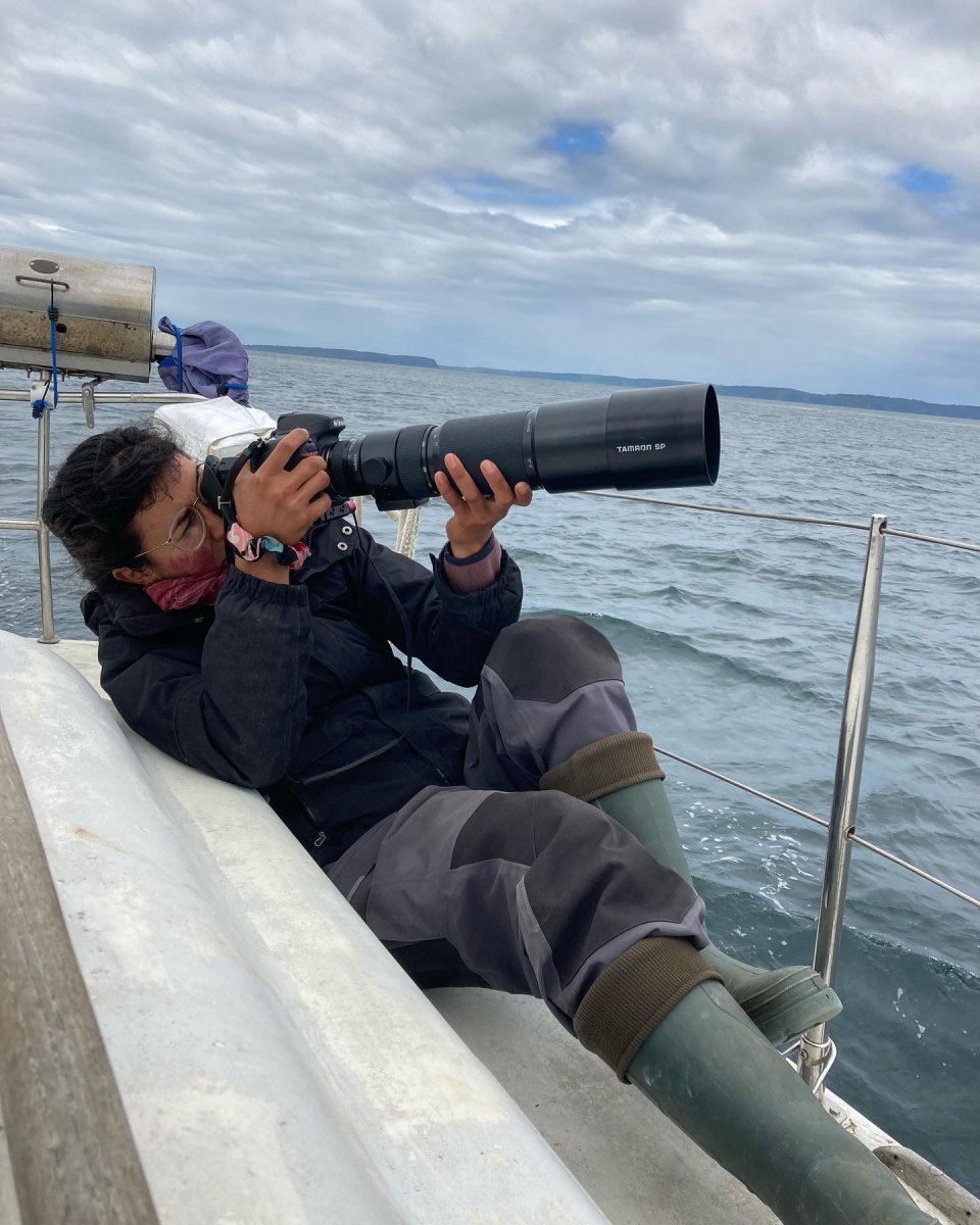 Boat trip through the channels of Chiloé Archipelago