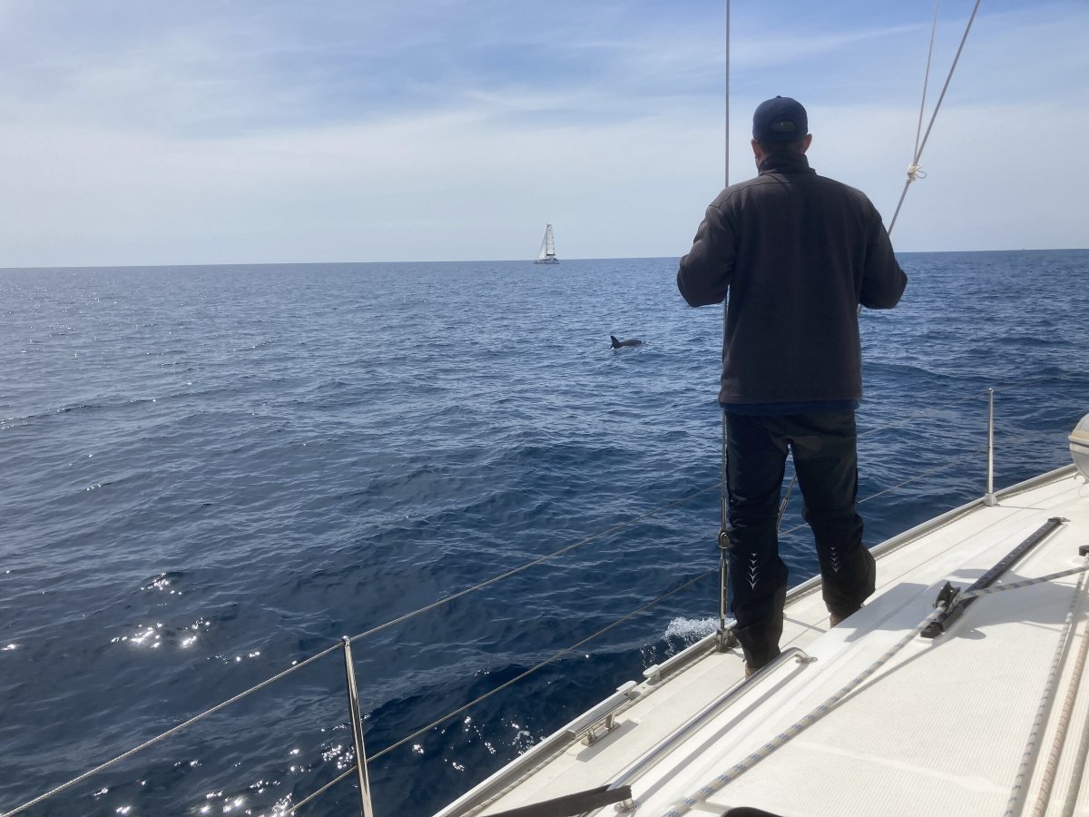 Become an expert sailor with our sailing courses in Croatia.