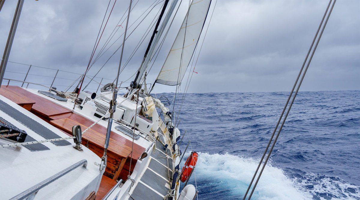 A Unique Journey to Antarctica