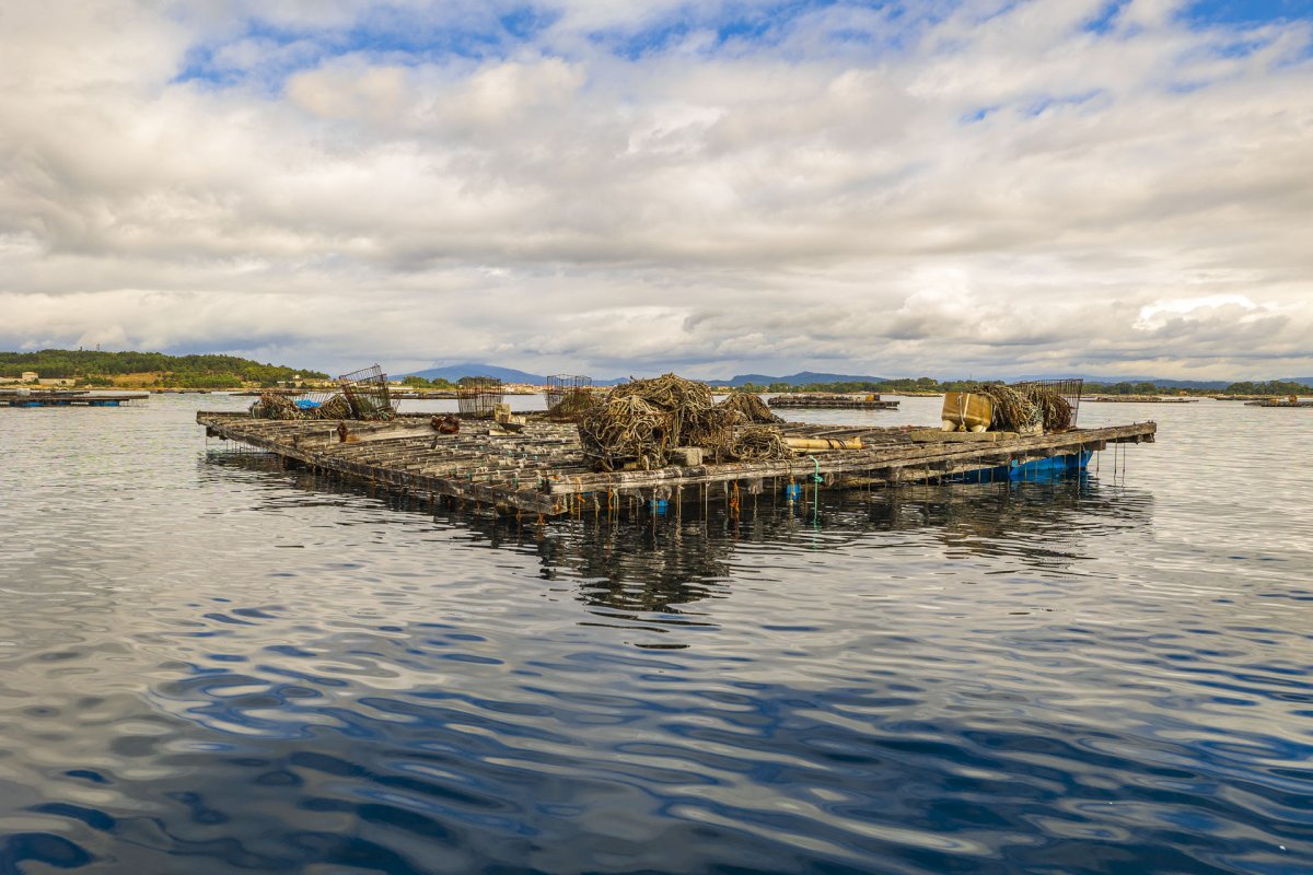 The Camino de Santiago continues its course through the sea