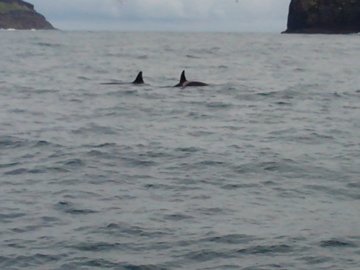 Velero - Dufour Yachts - 6 personas