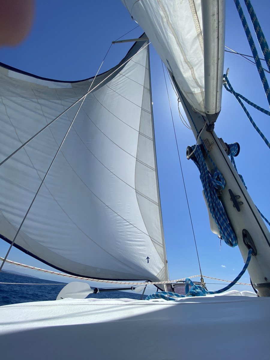 Enjoy the natural beauty