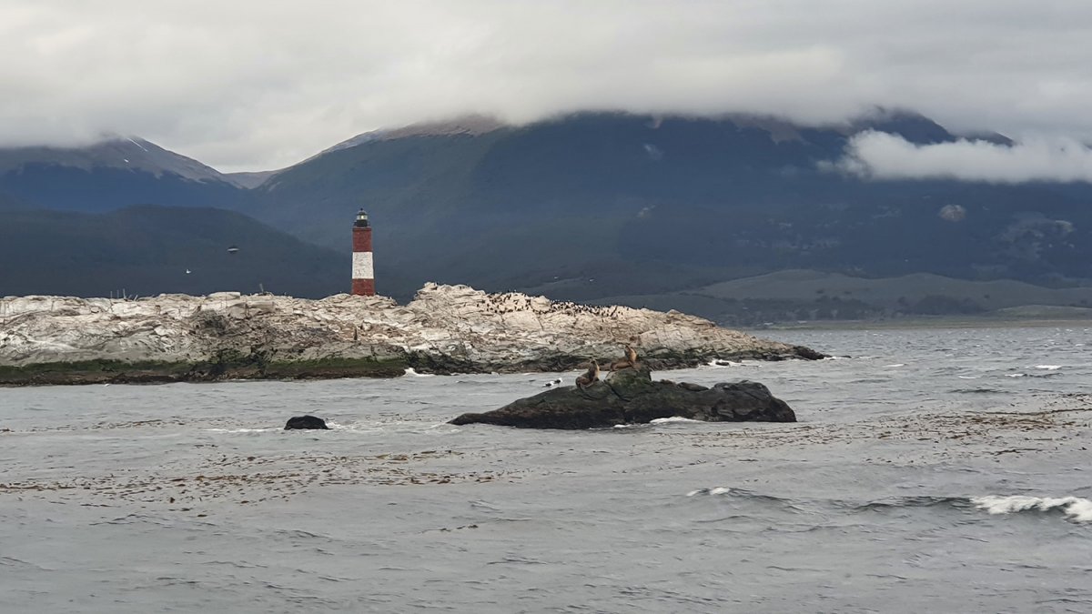 Segelbootsnavigationskurs und Reise um Kap Hoorn