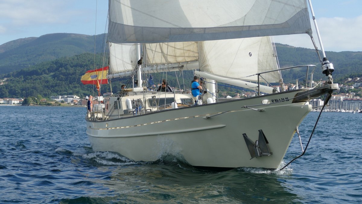 Enjoy natural beauty on a boat trip