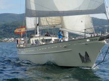 Disfruta de la belleza natural en un viaje en barco