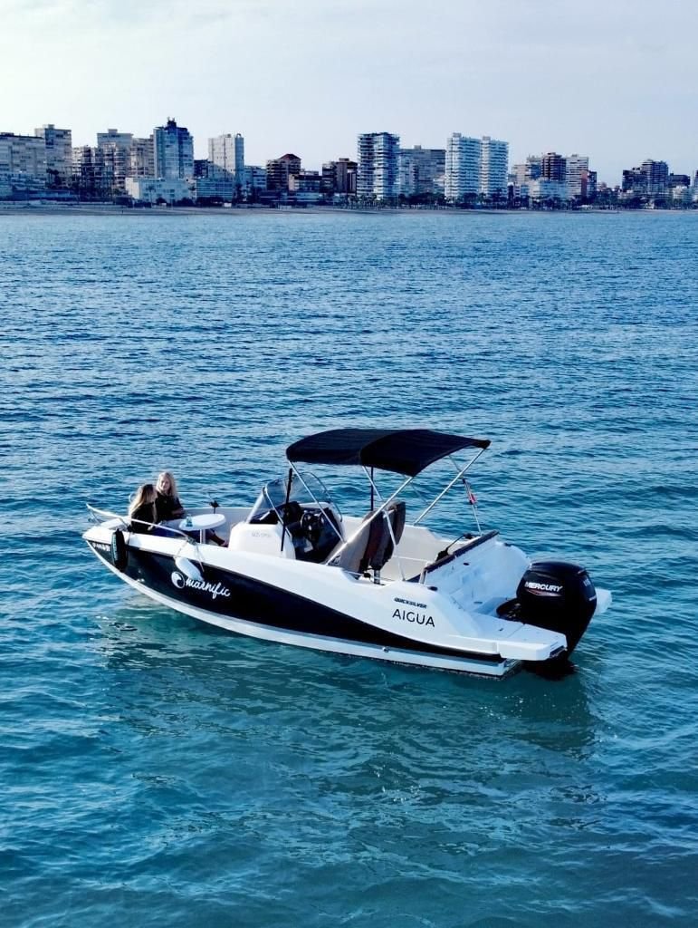 Quicksilver - 6 metri