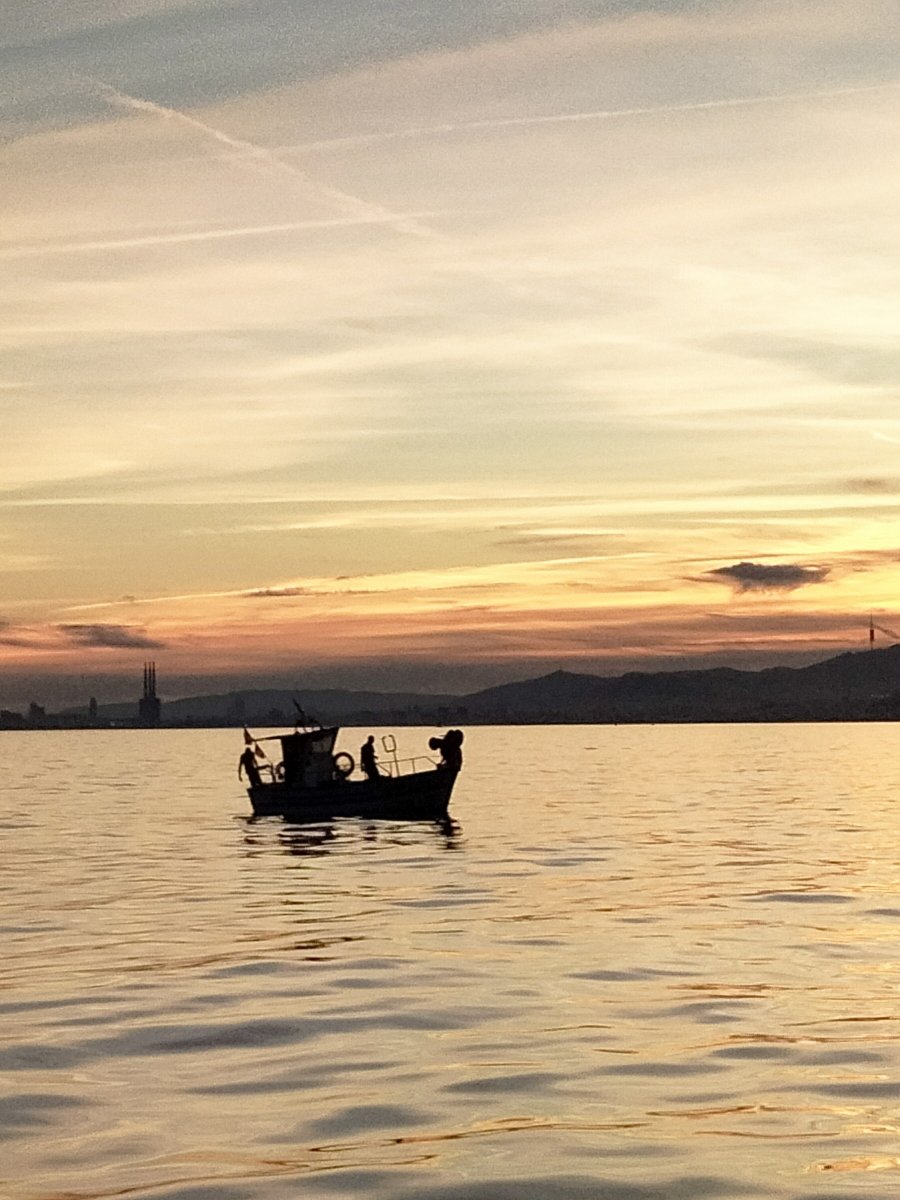Beginners sailing course
