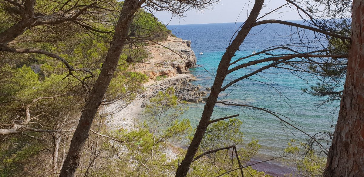 Tramonto su un veliero