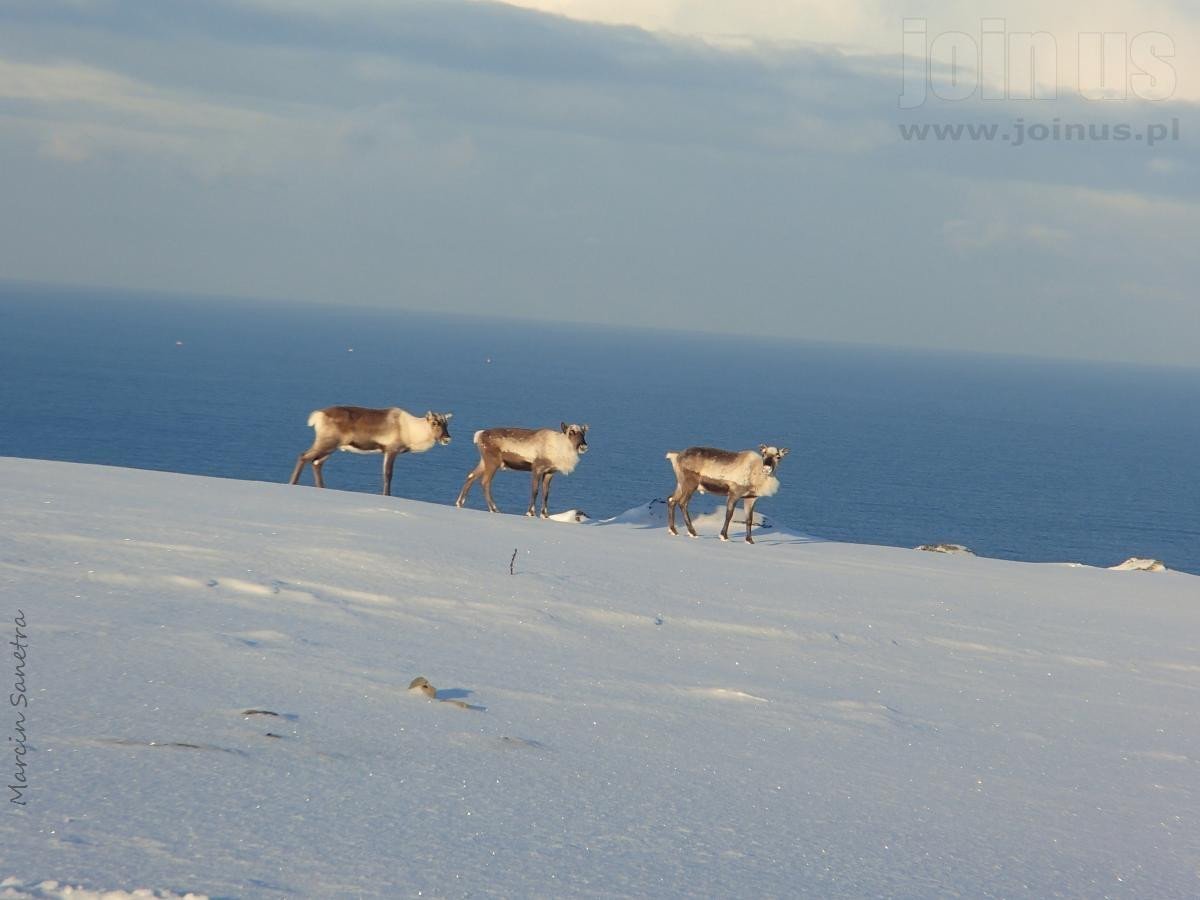 Viaje de invierno a North Cape en un velero en Noruega