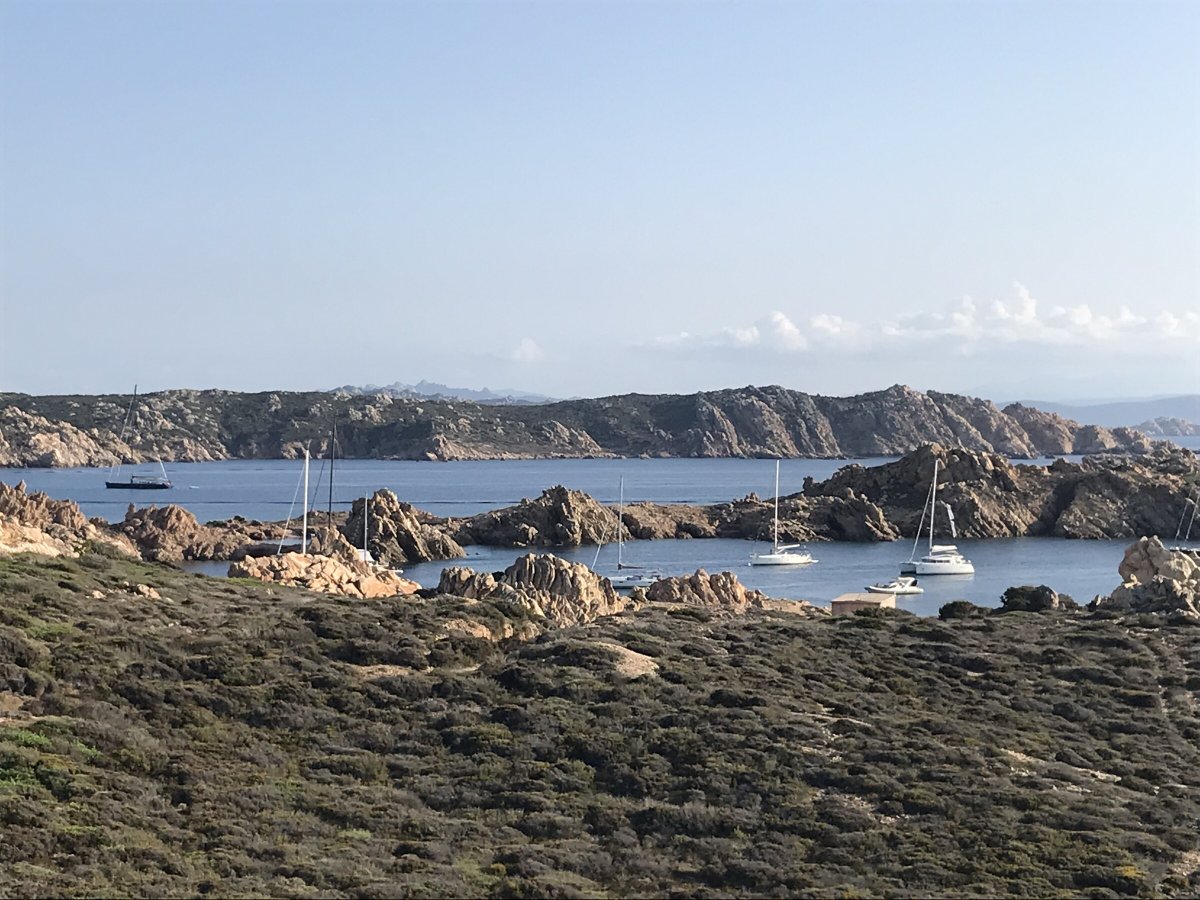 Sailing a catamaran in the archipelago
