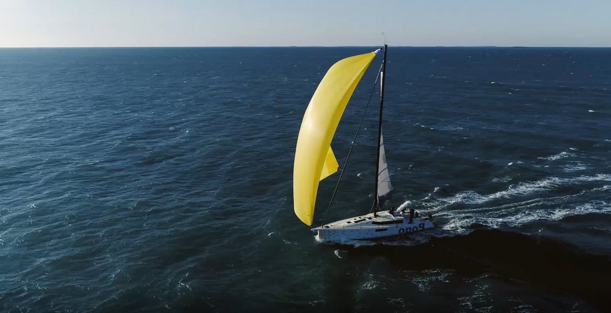 Segelboot - Pogo - 13.55 {{i18n.meters}}