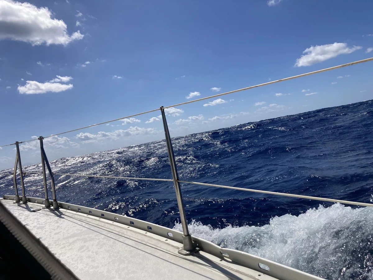 Atlantic crossing: from Malaga to Tenerife