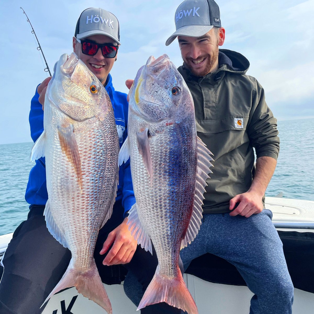 Il mare e la sua fauna