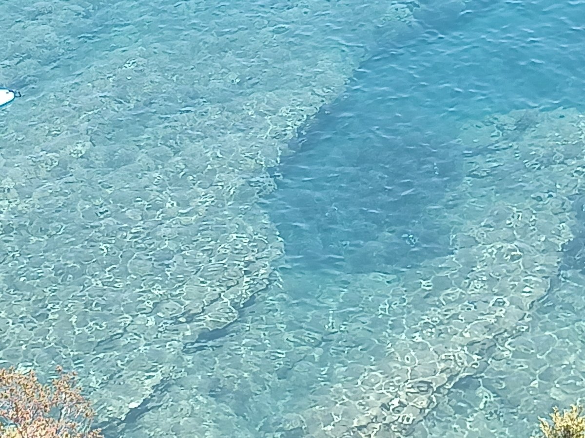 Lernen Sie Navigation in den Gewässern von Sorrento