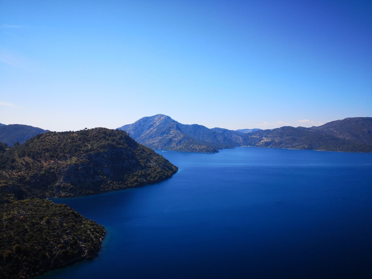 Avanzando con la brezza