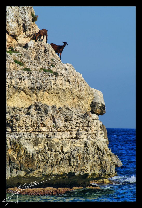 nautical tourism mallorca