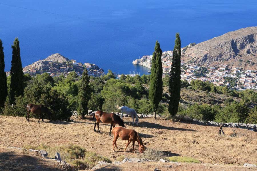 vacaciones en velero por la antigua grecia 