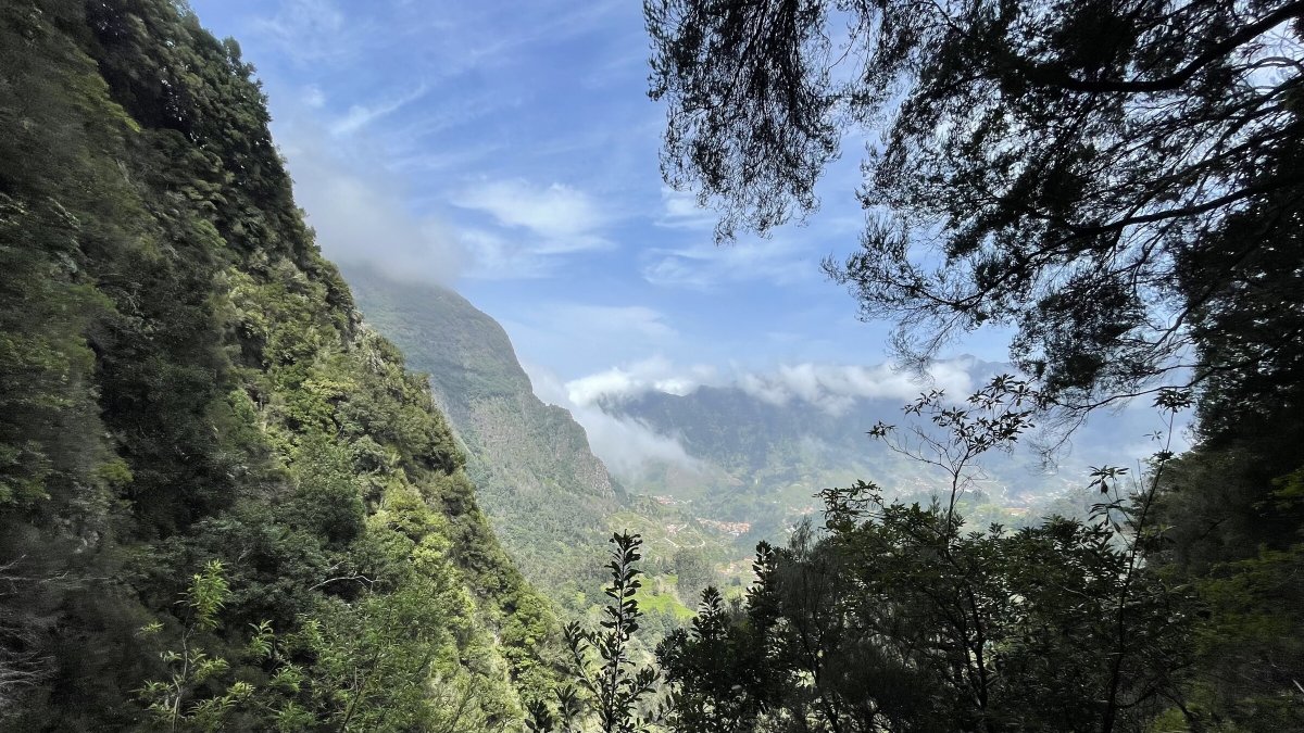 A Boat Excursion to the Canary Islands